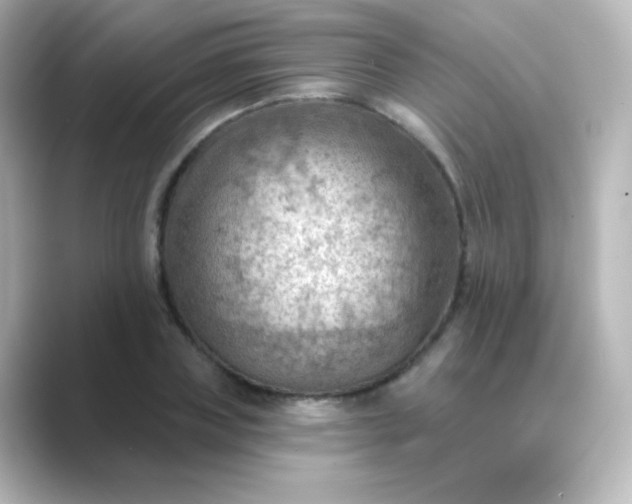 X0000088830835200706211813