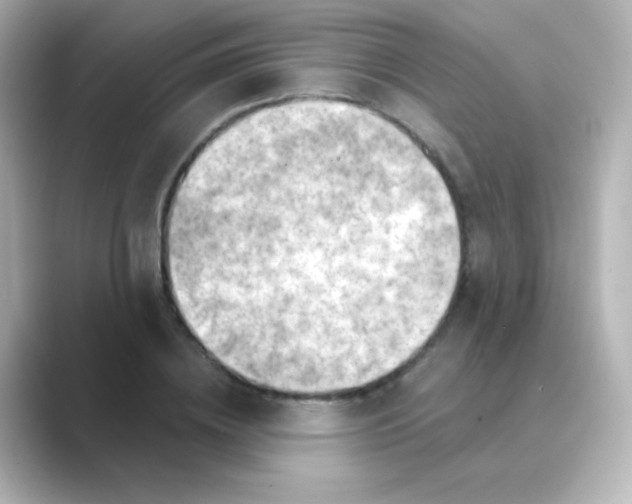 X0000088830836200706211813