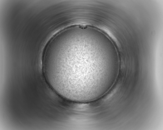 X0000088830837200706211813