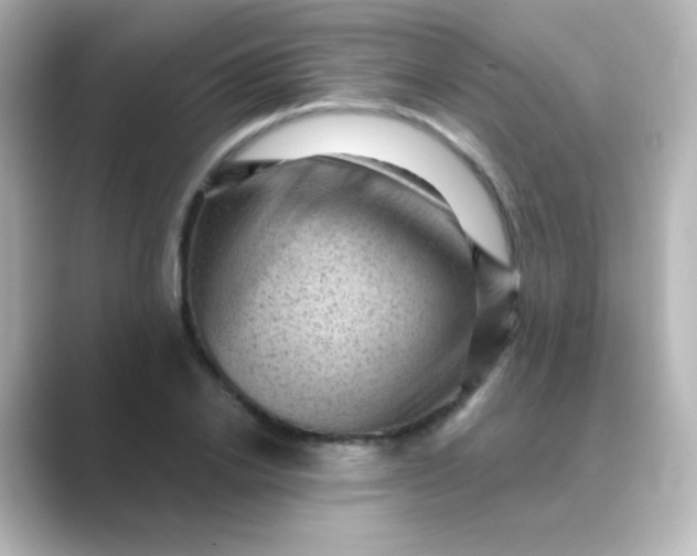 X0000088830838200706211813