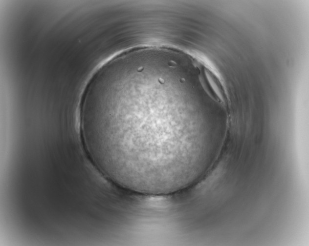 X0000088830839200706211813