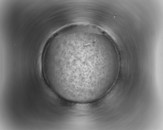 X0000088830840200706211813