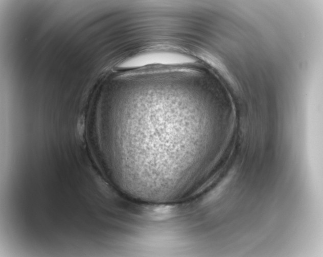 X0000088830841200706211813