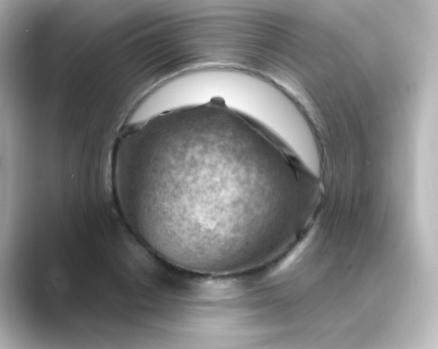 X0000088830842200706211813