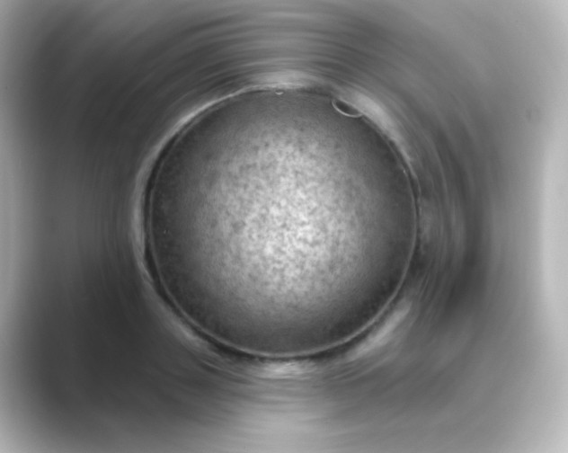 X0000088830843200706211813