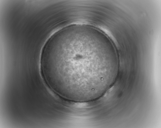 X0000088830845200706211813