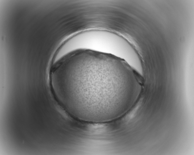 X0000088830846200706211813