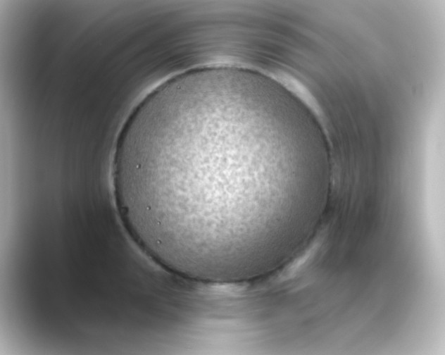 X0000088830847200706211813