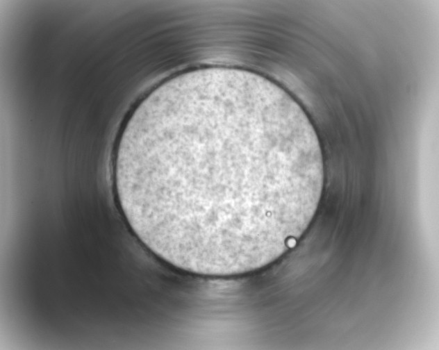 X0000088830848200706211813