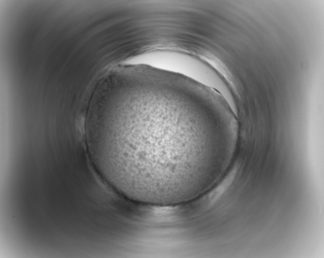 X0000088830849200706211813