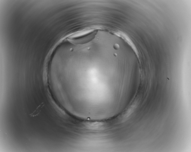 X0000088830851200706211813