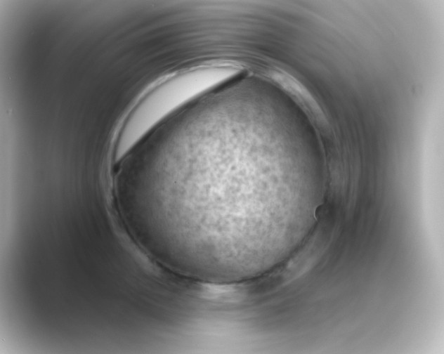 X0000088830852200706211813