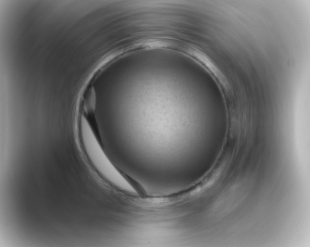 X0000088830853200706211813