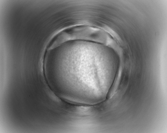 X0000088830854200706211813