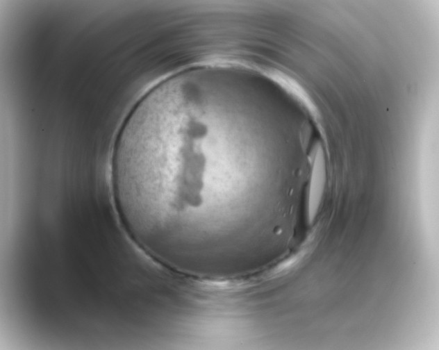 X0000088830855200706211813