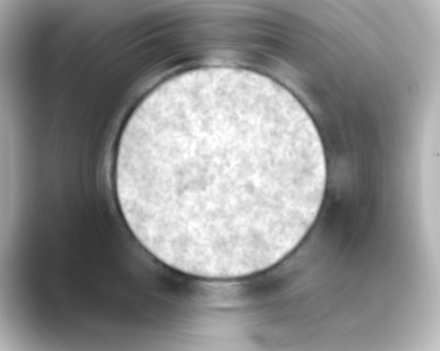 X0000088830856200706211813