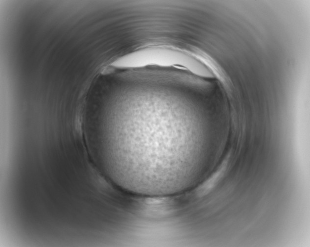 X0000088830857200706211813