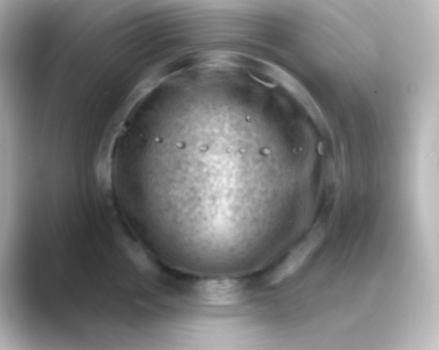 X0000088830858200706211813