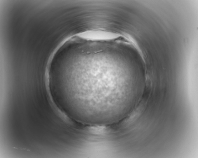 X0000088830859200706211813