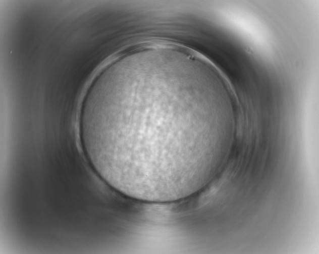 X0000088830861200706211813