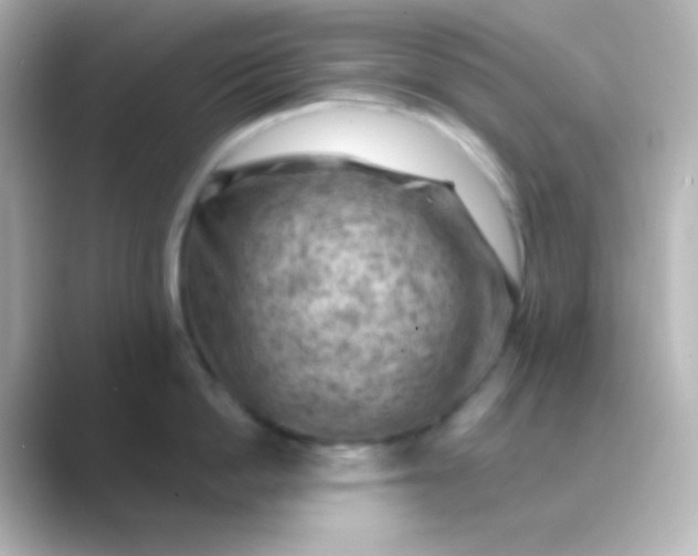 X0000088830862200706211813