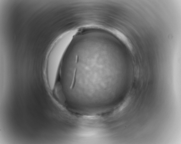 X0000088830863200706211813