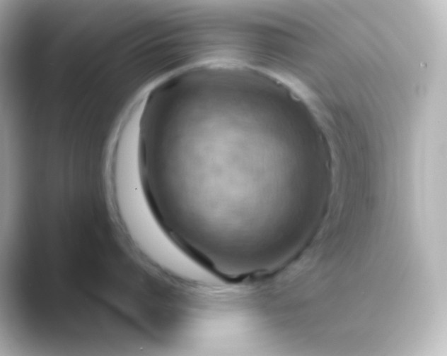 X0000088830864200706211813