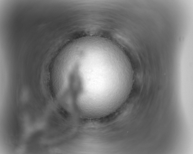 X0000088830865200706211813