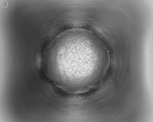 X0000088830866200706211813