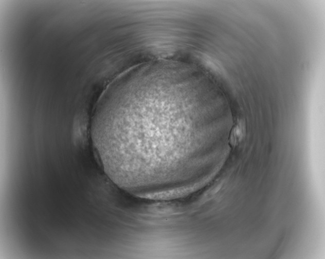 X0000088830867200706211813