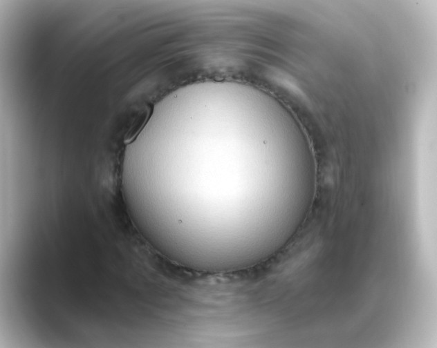 X0000088830869200706211813