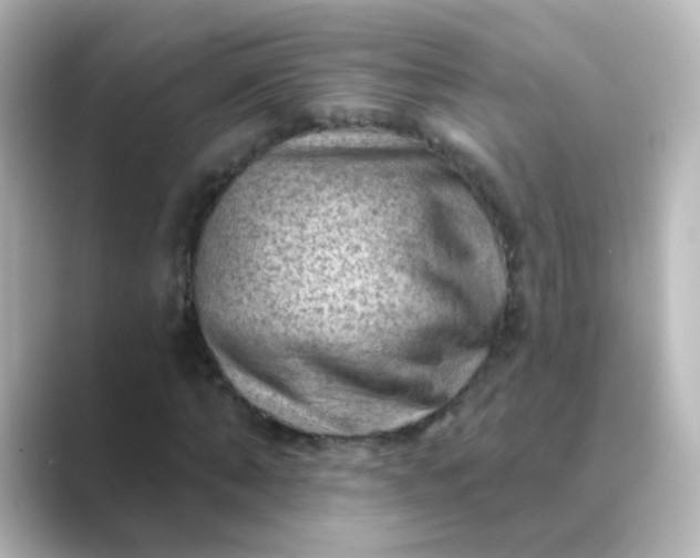 X0000088830870200706211813