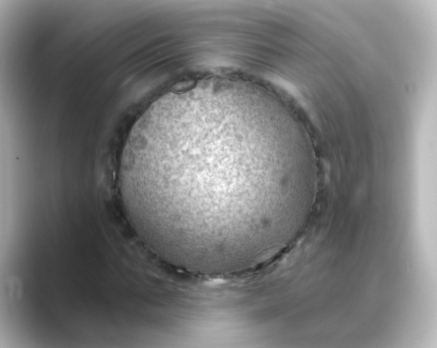 X0000088830871200706211813