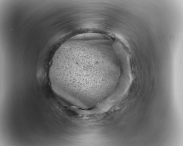 X0000088830872200706211813