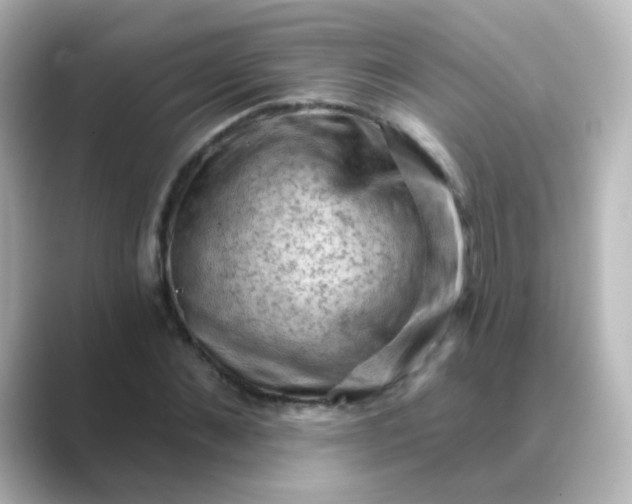 X0000088830876200706211813