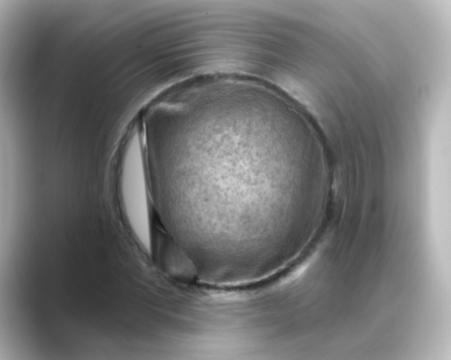 X0000088830877200706211813