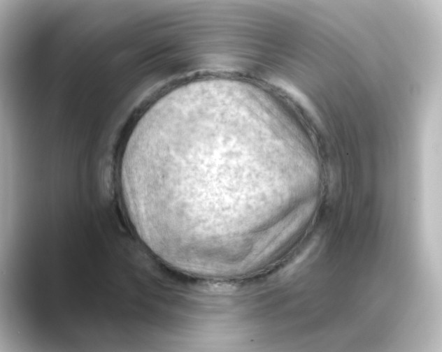 X0000088830878200706211813