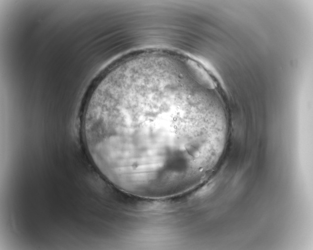 X0000088830879200706211813