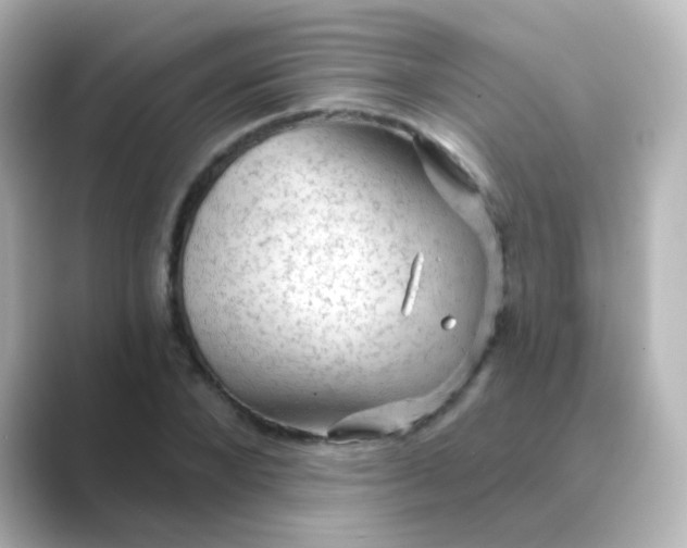 X0000088830880200706211813