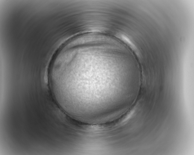 X0000088830883200706211813