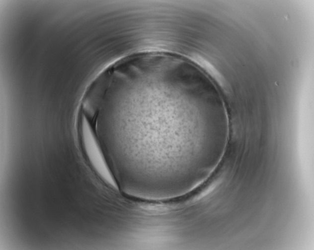 X0000088830885200706211813