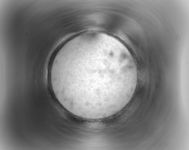 X0000088830886200706211813