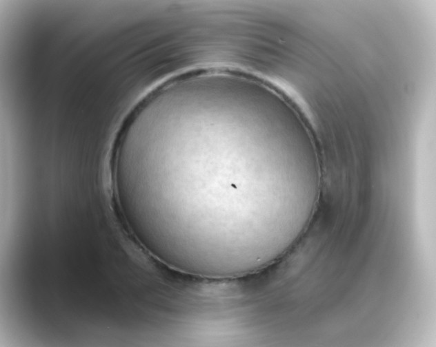 X0000088830887200706211813