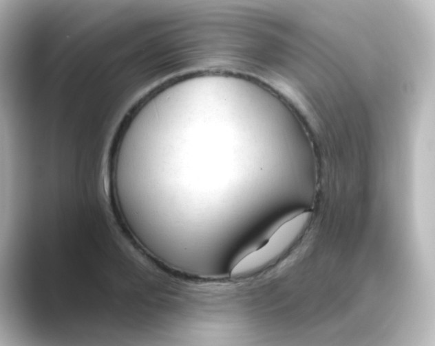 X0000088830888200706211813