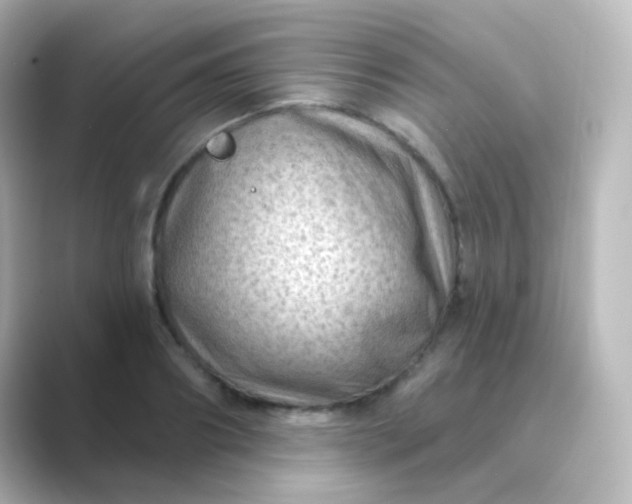 X0000088830890200706211813