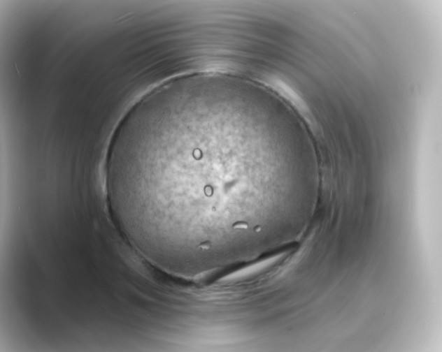 X0000088830891200706211813