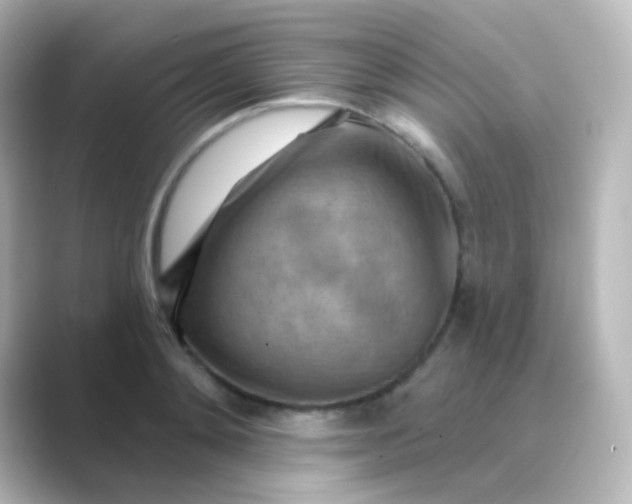 X0000088830892200706211813