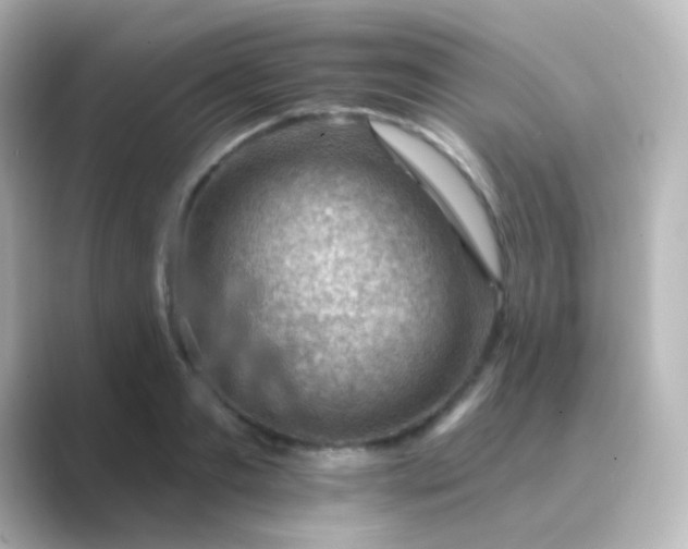 X0000088830893200706211813