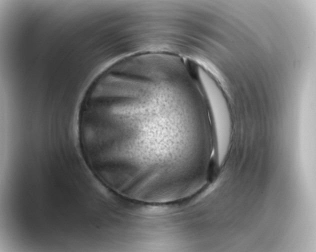 X0000088830894200706211813