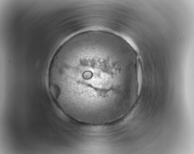 X0000088830895200706211813